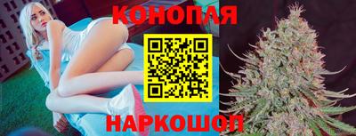 молекула духа Донецк